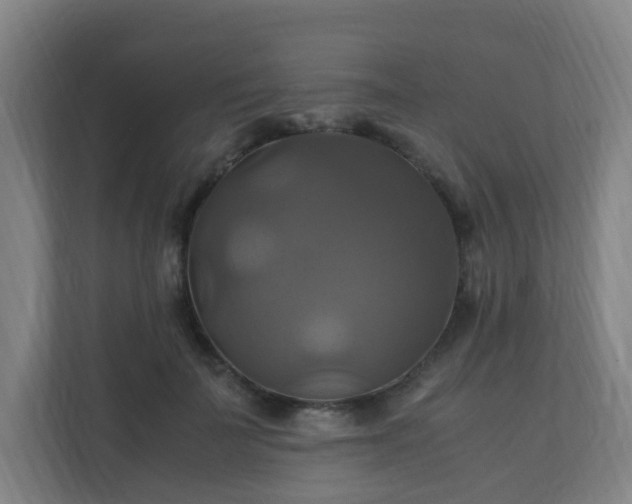 X0000110990699200906261450