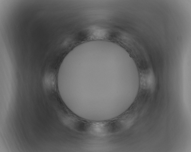 X0000110990701200906261450