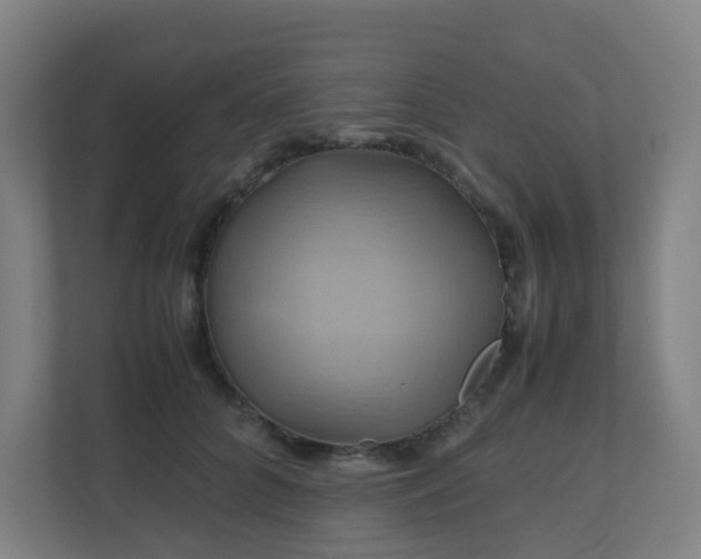X0000110990704200906261450