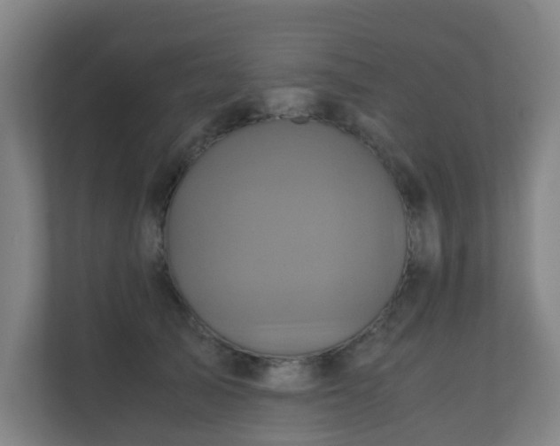 X0000110990705200906261450