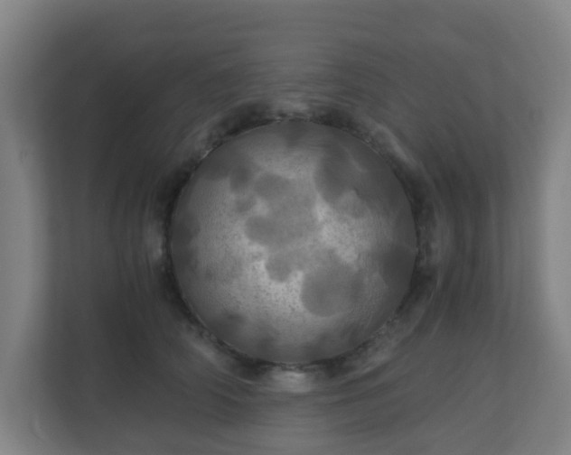 X0000110990706200906261450