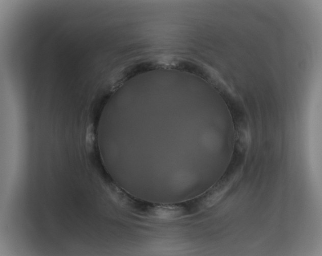 X0000110990707200906261450