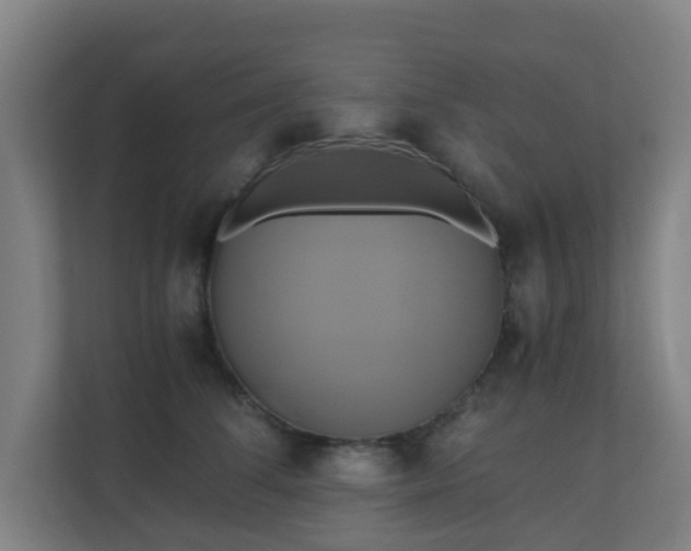 X0000110990708200906261450