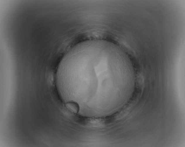 X0000110990709200906261450