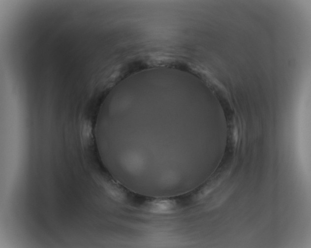 X0000110990711200906261449