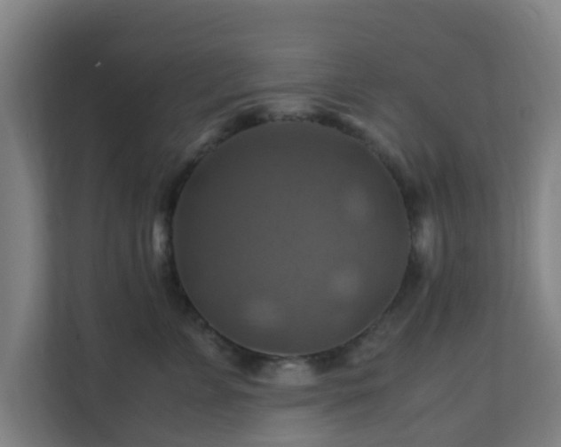 X0000110990715200906261449
