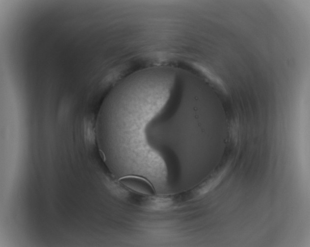 X0000110990719200906261449