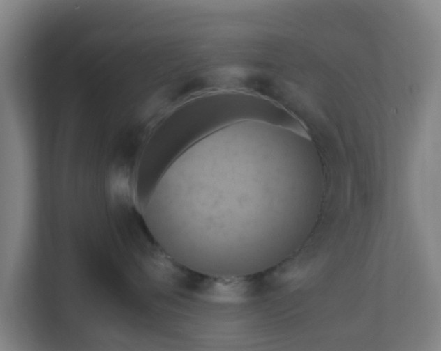 X0000110990720200906261449