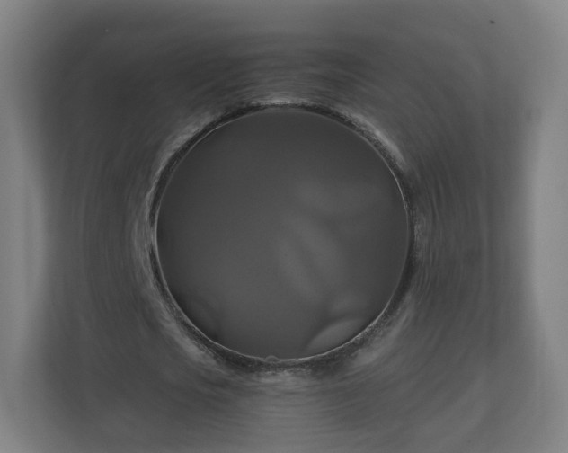 X0000110990721200906261449