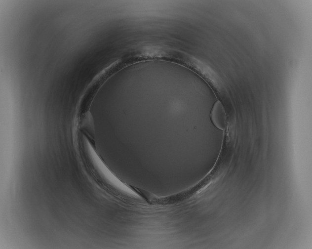 X0000110990722200906261449