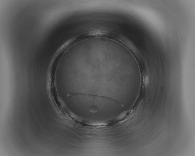 X0000110990724200906261449