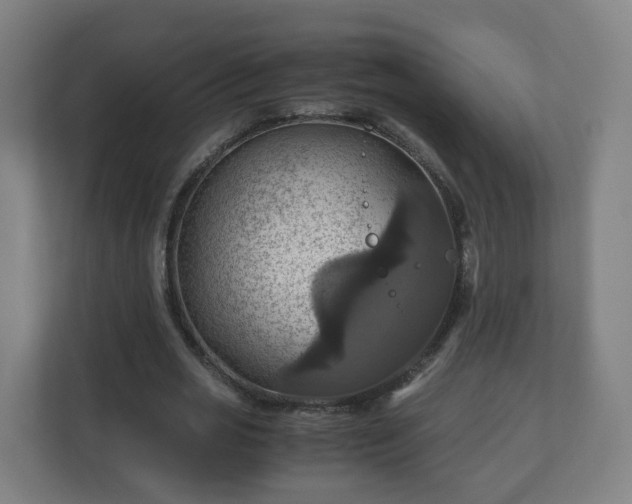 X0000110990725200906261449