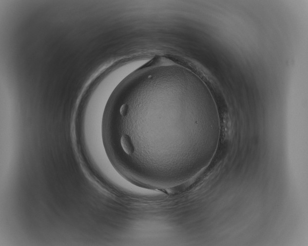 X0000110990726200906261449