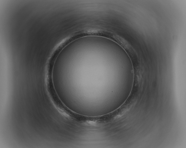 X0000110990728200906261449