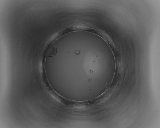 X0000110990729200906261449