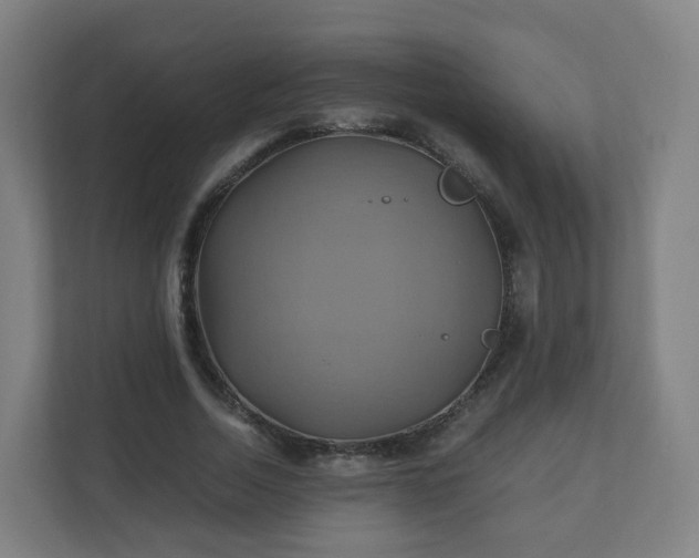 X0000110990730200906261449