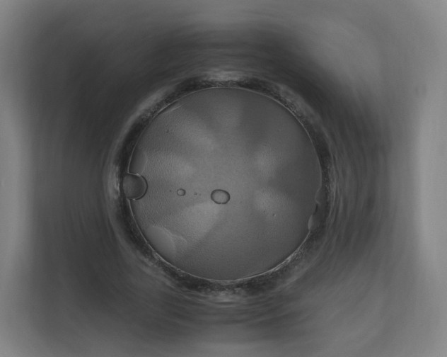 X0000110990731200906261449