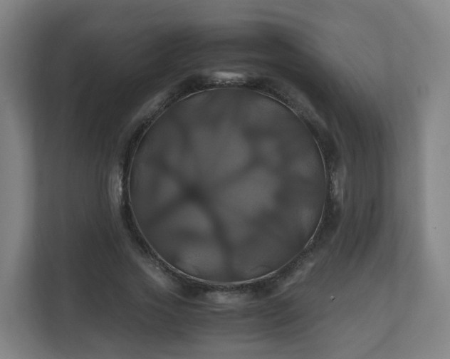 X0000110990733200906261449