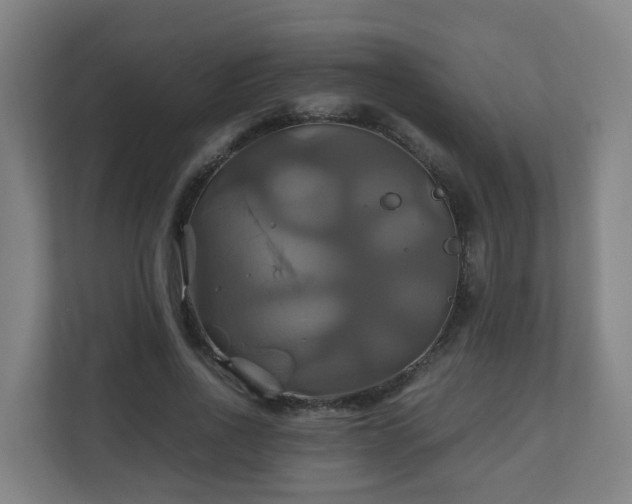 X0000110990734200906261449