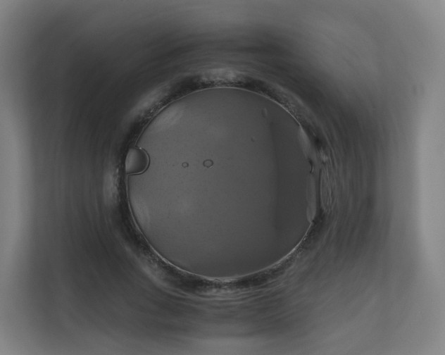 X0000110990735200906261449