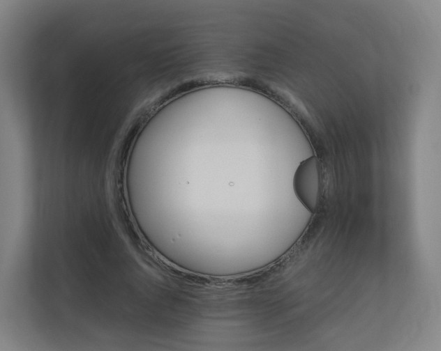 X0000110990736200906261449