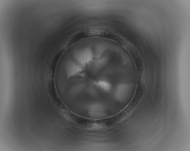 X0000110990737200906261449