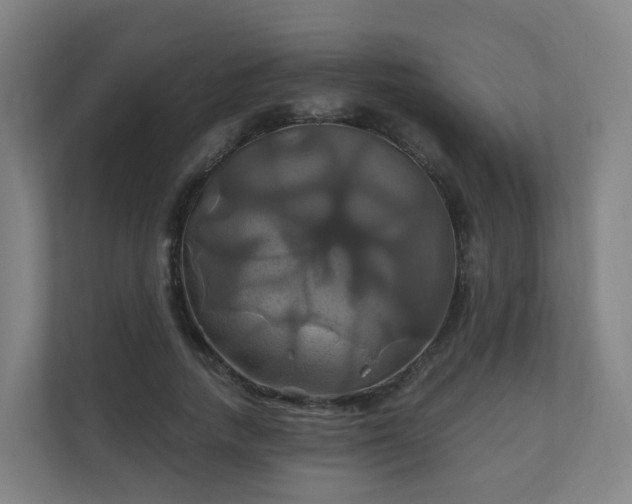 X0000110990738200906261449