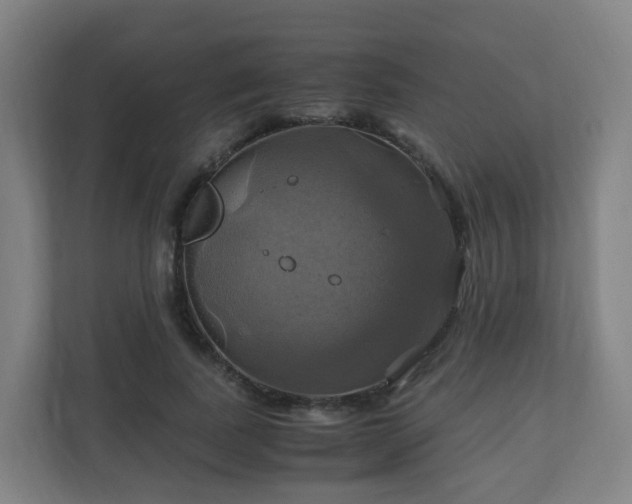 X0000110990739200906261449