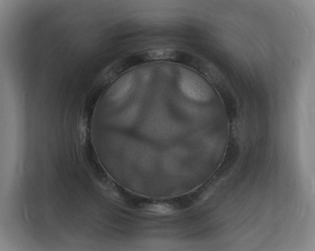 X0000110990741200906261449