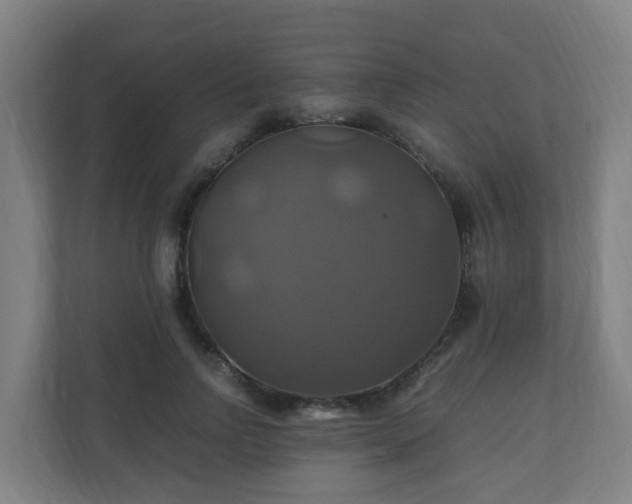 X0000110990742200906261449