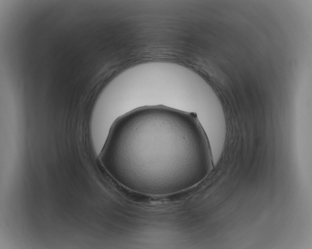 X0000110990744200906261449