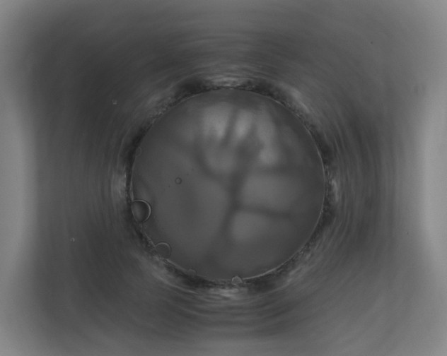 X0000110990745200906261449