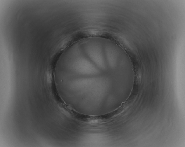 X0000110990746200906261449
