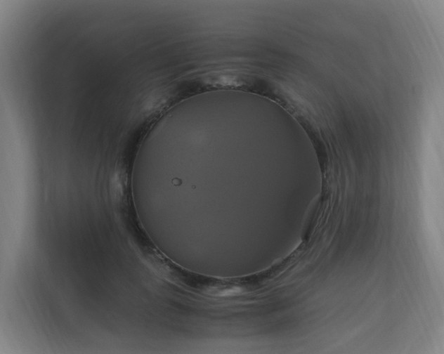 X0000110990747200906261449