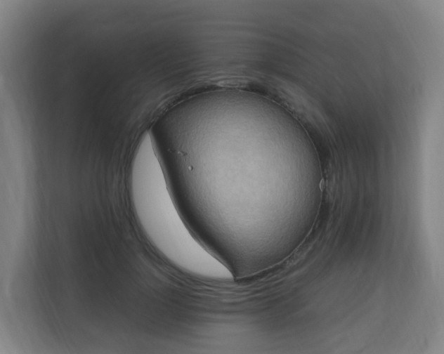 X0000110990748200906261449