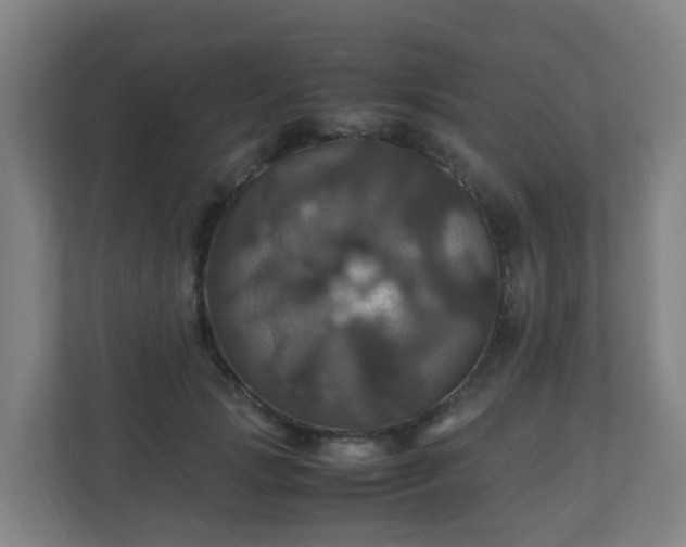 X0000110990749200906261449