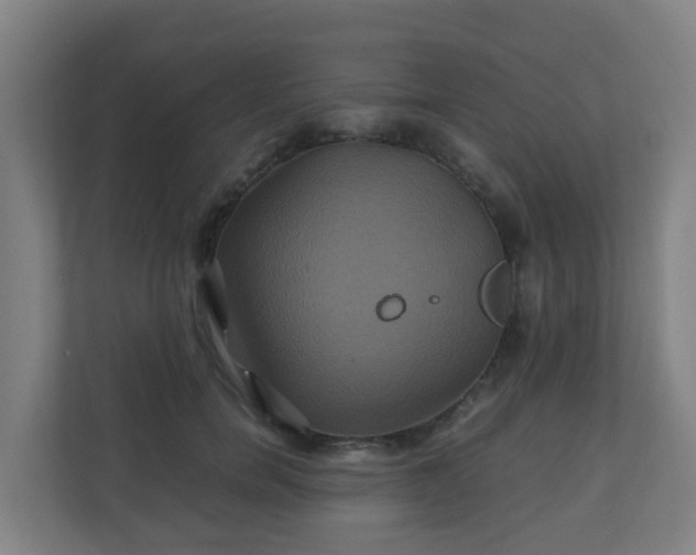 X0000110990750200906261449