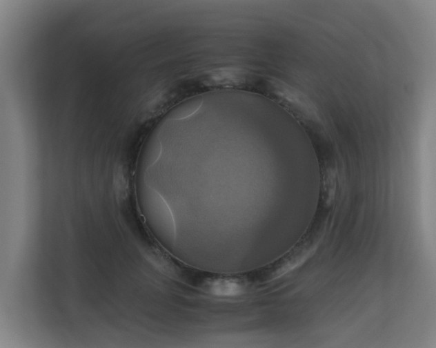 X0000110990751200906261449