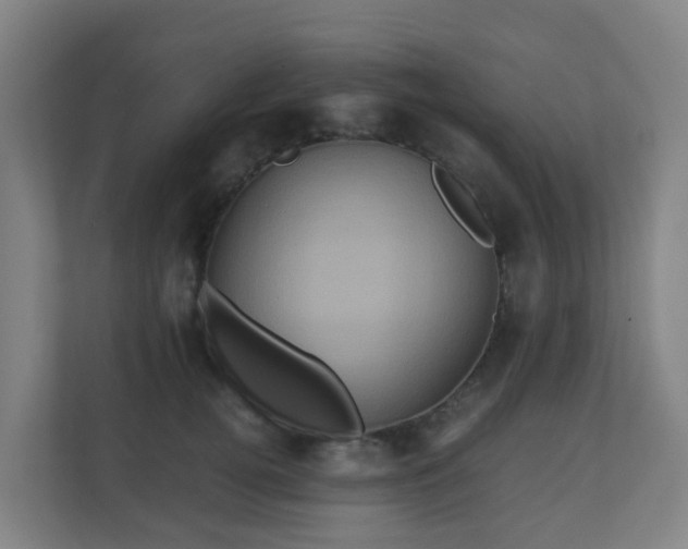 X0000110990752200906261449