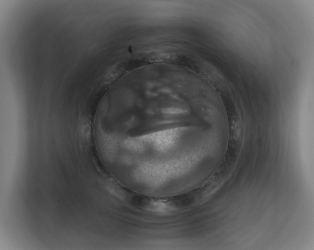 X0000110990753200906261449