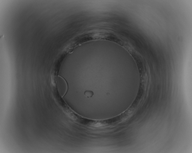 X0000110990755200906261449