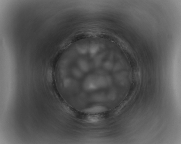 X0000110990757200906261449