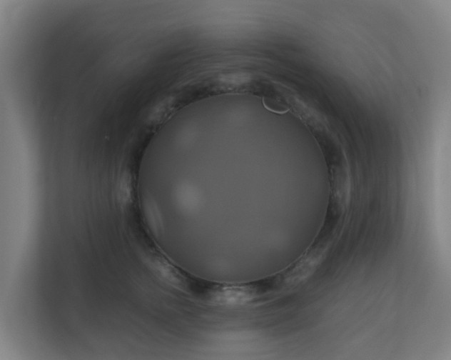 X0000110990758200906261449