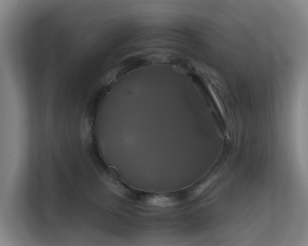 X0000110990759200906261449
