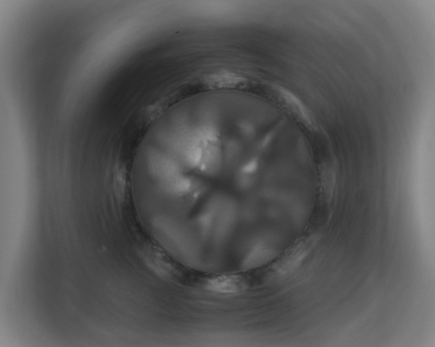 X0000110990761200906261449