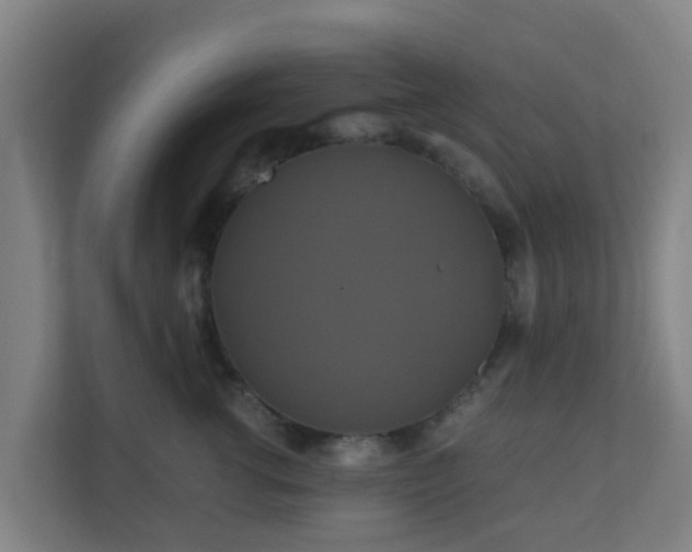 X0000110990762200906261449