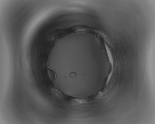 X0000110990763200906261449