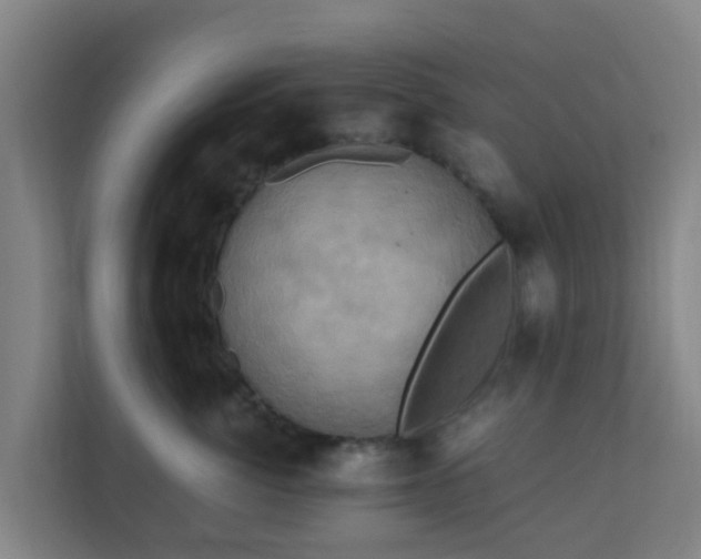 X0000110990764200906261449