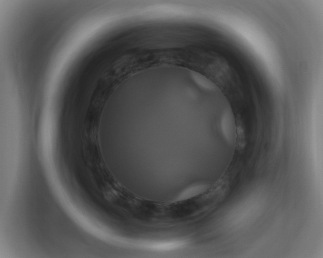 X0000110990765200906261449