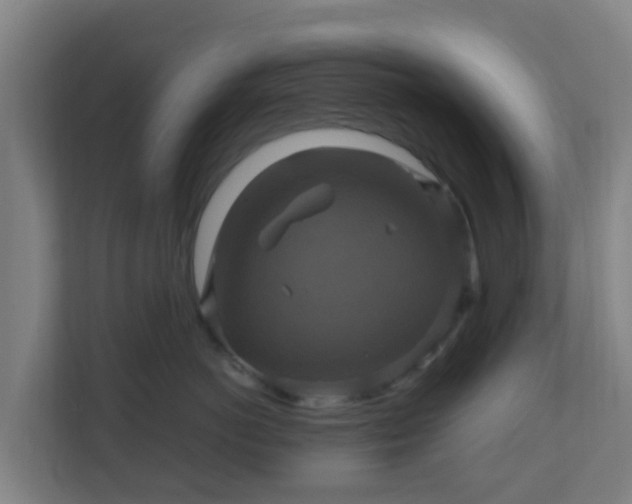 X0000110990766200906261449